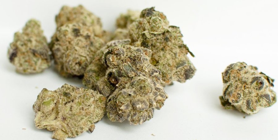 Medical Benefits of the Sherbet Strain